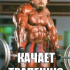 iv
