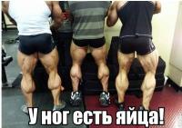 post-5456-0-00548100-1416374190_thumb.jpg