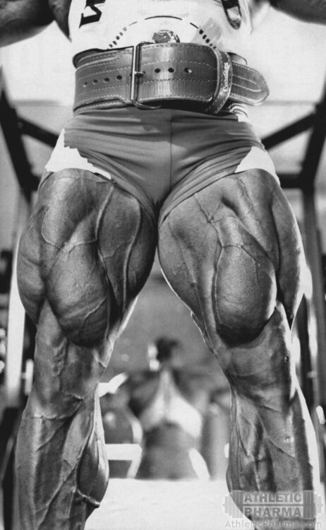 tom_platz_nogi.jpg